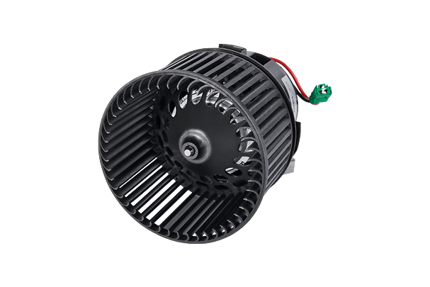 Image blower