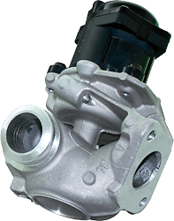 Image 废气再循环阀