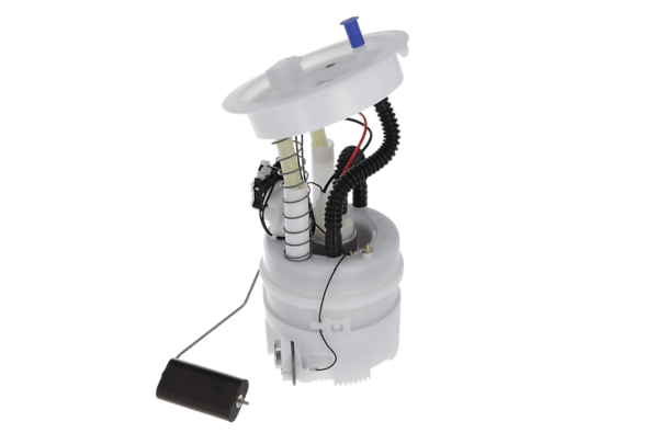 Image fuel pump